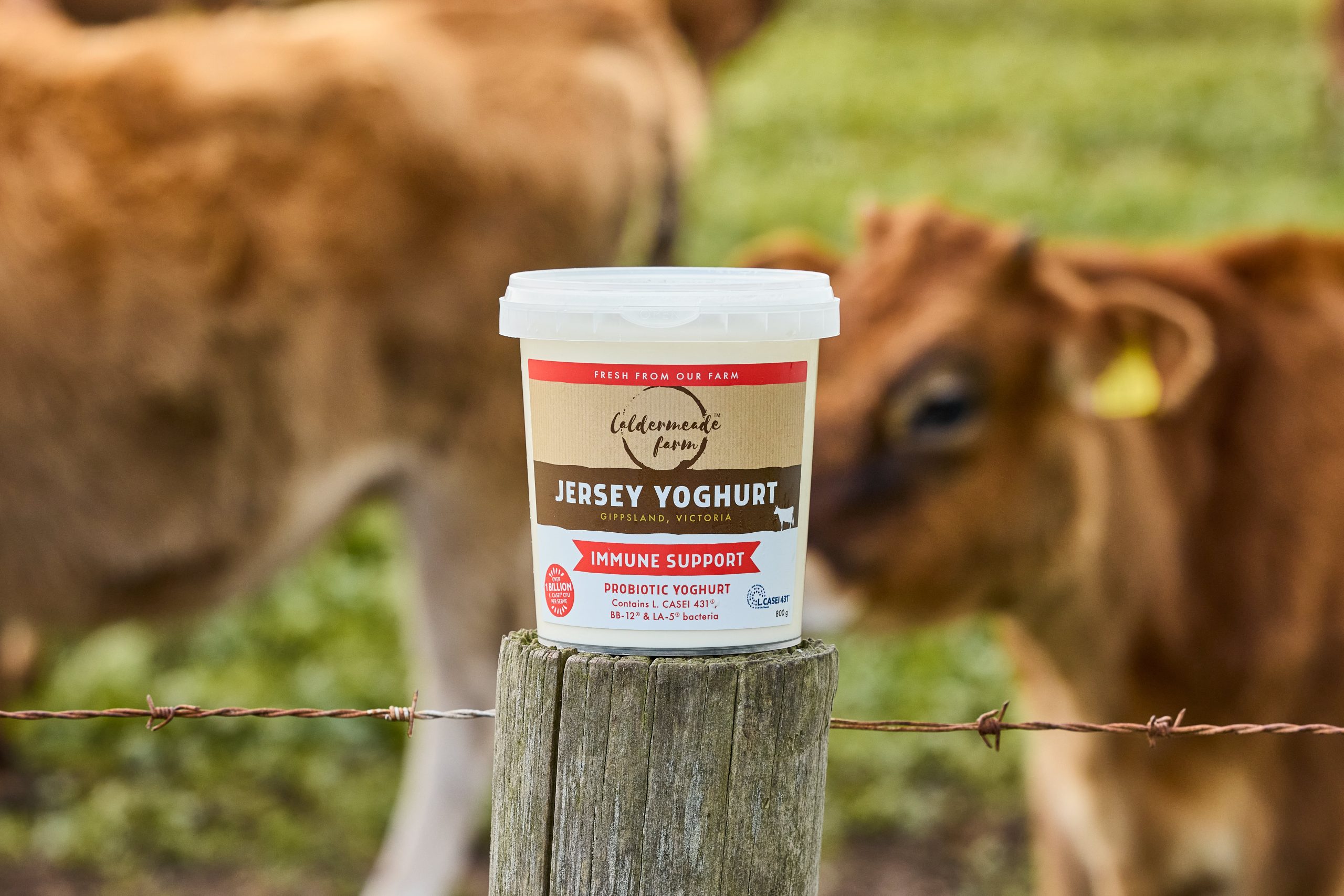 Jersey Yoghurt Immune Support 800g - Image 3