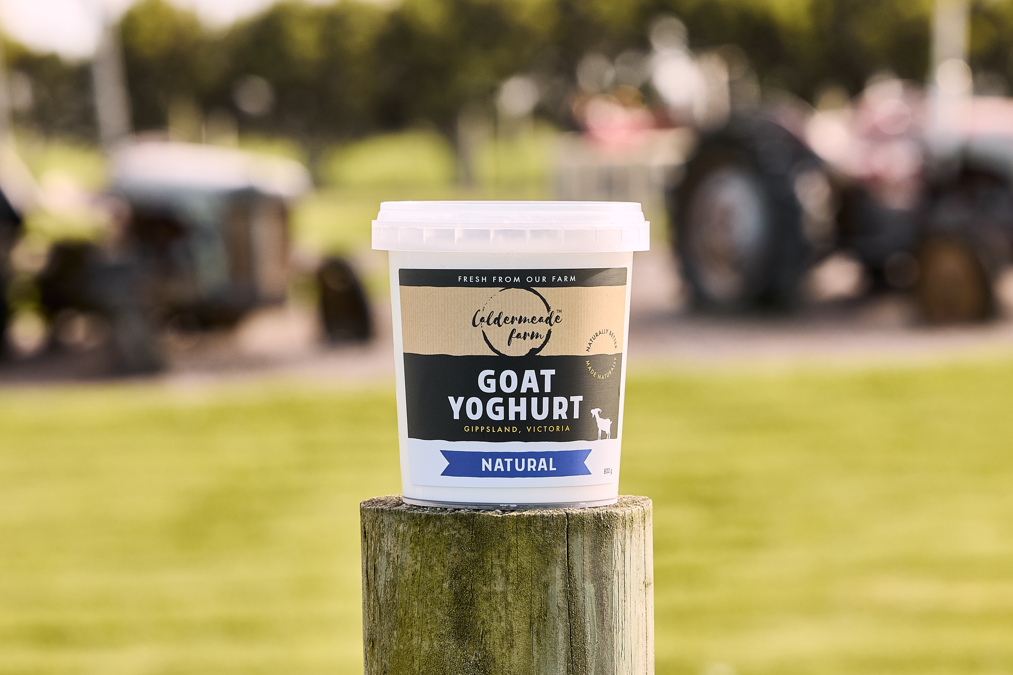 smooth, mild and creamy goat yoghurt with fresh goat milk from our farm and live cultures