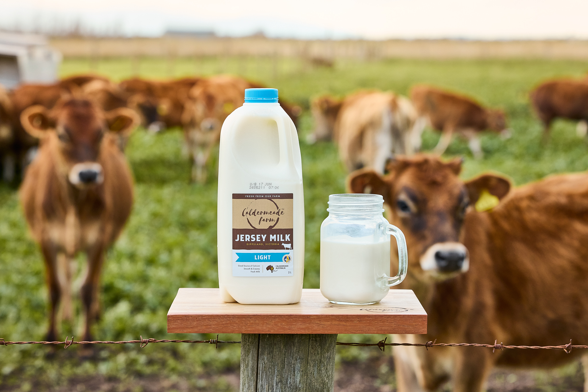 Caldermeade Farm light Jersey milk bottles with Jersey cows in a Gippsland paddock